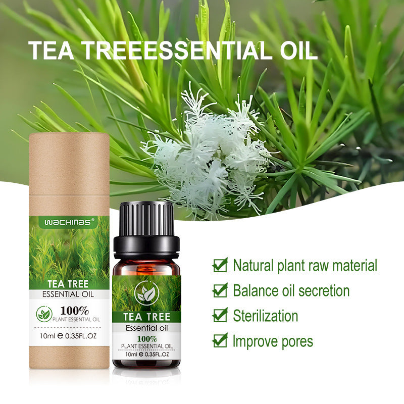 Rainbowsis Essential Tea Tree Oil - Rainbowsis